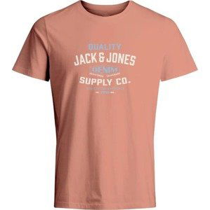 JACK & JONES Tričko 'BOOSTER' světlemodrá / růže / offwhite