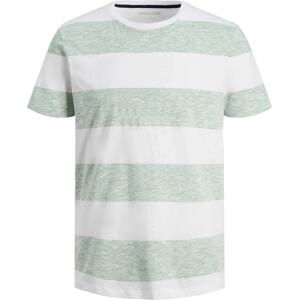 JACK & JONES Tričko 'BOOSTER' pastelově zelená / offwhite