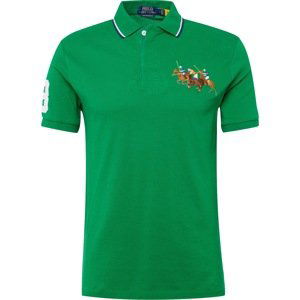 Polo Ralph Lauren Tričko modrá / hnědá / zelená / bílá