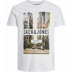 JACK & JONES Tričko 'GARNER' béžová / zelená / černá / bílá