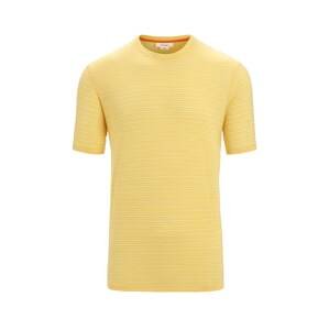 ICEBREAKER Funkční tričko žlutá / bílá