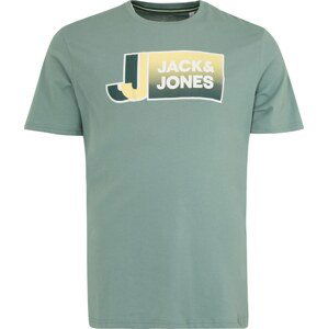 Jack & Jones Plus Tričko pastelově zelená / mix barev
