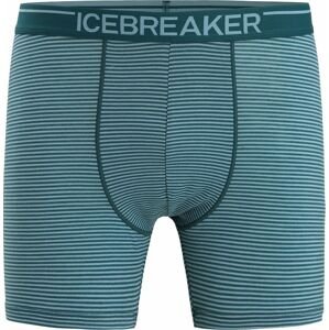 ICEBREAKER Sportovní spodní prádlo 'Anatomica' zelená / bílá