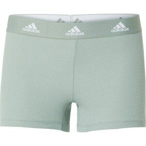 ADIDAS SPORTSWEAR Sportovní spodní prádlo 'Fast Dry' světle zelená / bílá