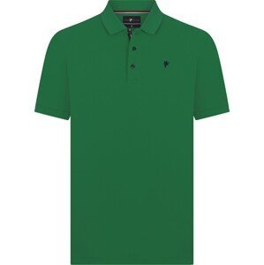 DENIM CULTURE Tričko 'TADAS' zelená