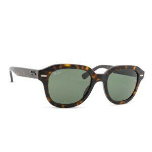 Ray-Ban Erik RB4398 902/31