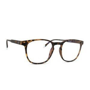 Barner Screen Dalston Tortoise