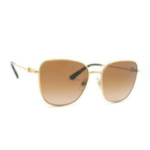 Dolce & Gabbana 0DG 2293 02/13 56