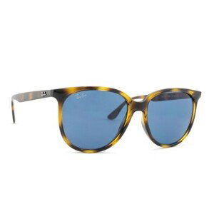 Ray-Ban RB4378 710/80 54