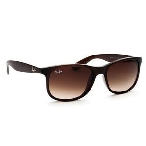 Ray-Ban Andy RB4202 607313 55