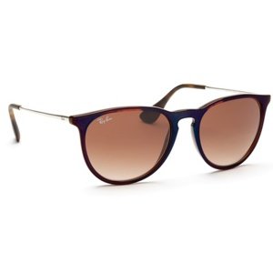 Ray-Ban Erika RB4171 631513 54