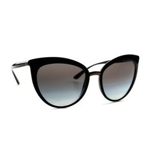 Dolce & Gabbana 0DG 6113 501/8G 55