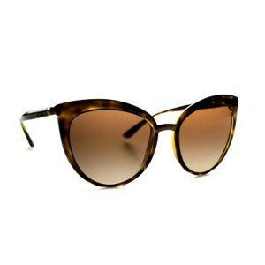 Dolce & Gabbana 0DG 6113 502/13 55