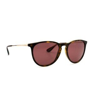 Ray-Ban Erika RB4171 639175 54