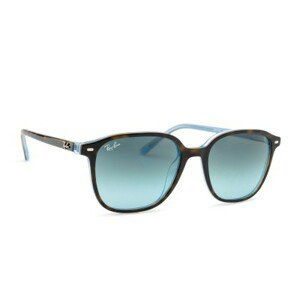 Ray-Ban Leonard RB2193 13163M 53