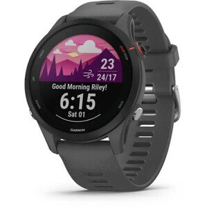 Garmin Forerunner 255 Slate Gray 010-02641-10