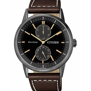 Citizen Eco-Drive BU3027-16E