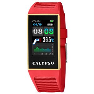 Calypso SmarTime K8502/3