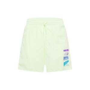 ADIDAS SPORTSWEAR Sportovní kalhoty 'Essentials BrandLove Chelsea'  pastelově zelená / mix barev