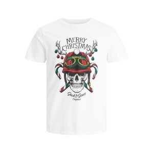 JACK & JONES Tričko 'CLAUS'  trávově zelená / červená / černá / bílá