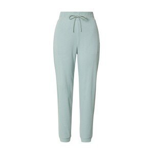 Calvin Klein Sport Sportovní kalhoty  šedá / pastelově zelená