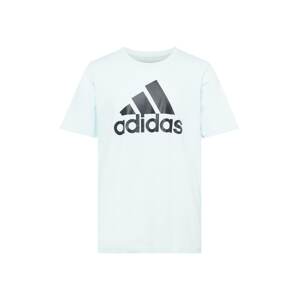 ADIDAS SPORTSWEAR Funkční tričko  světlemodrá / černá