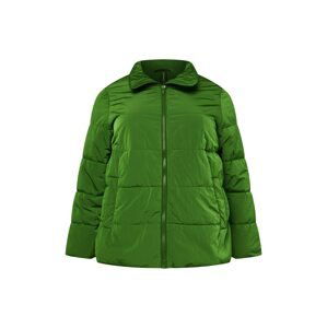 SAMOON Zimní bunda  zelená