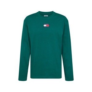 Tommy Jeans Tričko  námořnická modř / smaragdová / červená / bílá