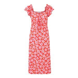 Dorothy Perkins Petite Letní šaty  krémová / pink / červená