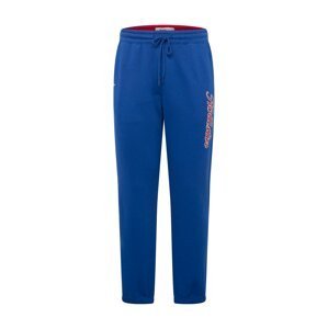 HOLLISTER Kalhoty  modrá / červená / bílá