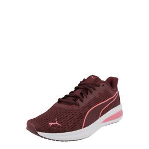 PUMA Sportovní boty 'Transport Modern'  bobule / pink