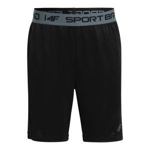 4F Sportovní kalhoty  kouřově šedá / černá