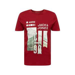 JACK & JONES Tričko  zelená / bordó / bílá