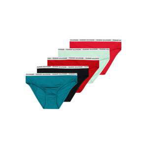 Tommy Hilfiger Underwear Spodní prádlo  petrolejová / pastelově zelená / červená / černá