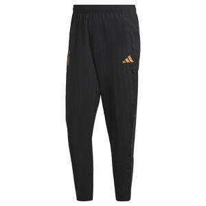 ADIDAS PERFORMANCE Sportovní kalhoty 'DFB'  zlatě žlutá / tmavě šedá / černá