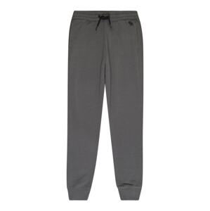 Abercrombie & Fitch Kalhoty  tmavě šedá / černá