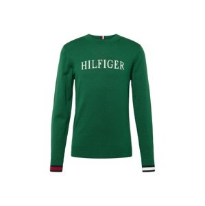 TOMMY HILFIGER Svetr  námořnická modř / zelená / červená / bílá