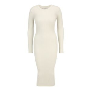 AllSaints Úpletové šaty 'LOLEATTA'  barva bílé vlny