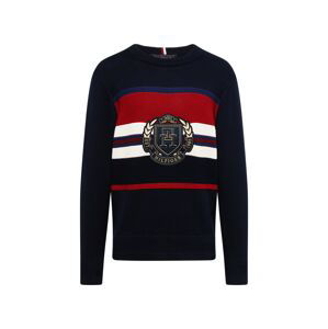 TOMMY HILFIGER Svetr  námořnická modř / noční modrá / červená / bílá