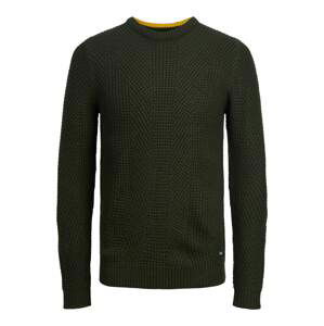 Jack & Jones Plus Svetr 'STANFORD'  jedle