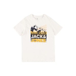 Jack & Jones Junior Tričko 'BOOSTER'  šedá / oranžová / černá / bílá