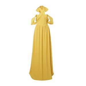 TFNC Společenské šaty 'BETH'  žlutá