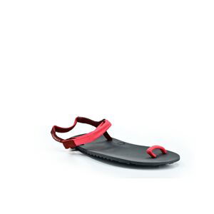 Doprodej Xero shoes Jessie Coral Velikost boty (EU): 41, Vnitřní délka boty: 260, Vnitřní šířka boty: 106