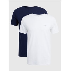 Sada dvou pánských triček v bílé a modré barvě Gap