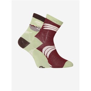Hnědo-zelené dětské veselé ponožky Dedoles Lenochod