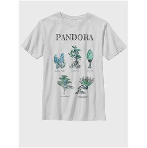 Bílé dětské tričko Twentieth Century Fox Pandora Flora Sketches ZOOT. FAN