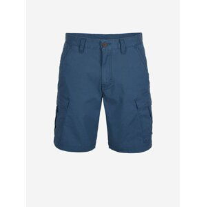 Modré pánské kraťasy O'Neill BEACH BREAK CARGO SHORTS