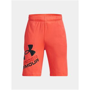 Kraťasy Under Armour UA Prototype 2.0 Logo Shorts-ORG