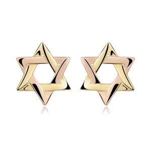 Náušnice ze smíšeného 14karátového zlata - dvoubarevná Davidova hvězda, puzety