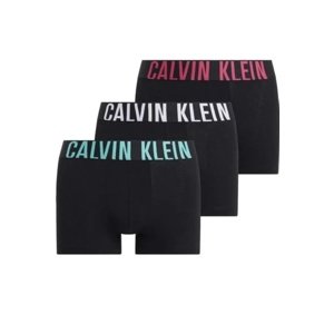 Pánské boxerky Calvin Klein NB3608 3pack L Černá